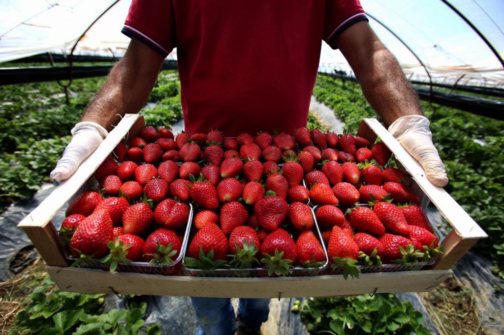 Tregtia dhe turizmi rrisin importet, prodhimi Made in Albania shënon rënie në 5-mujorin e parë